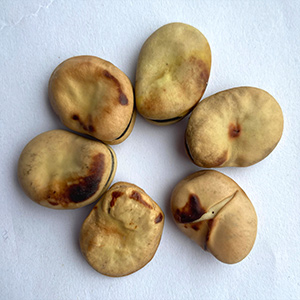 172604531801187200