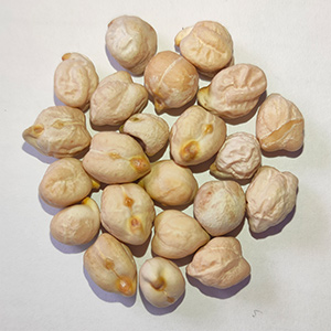 172610377686590900