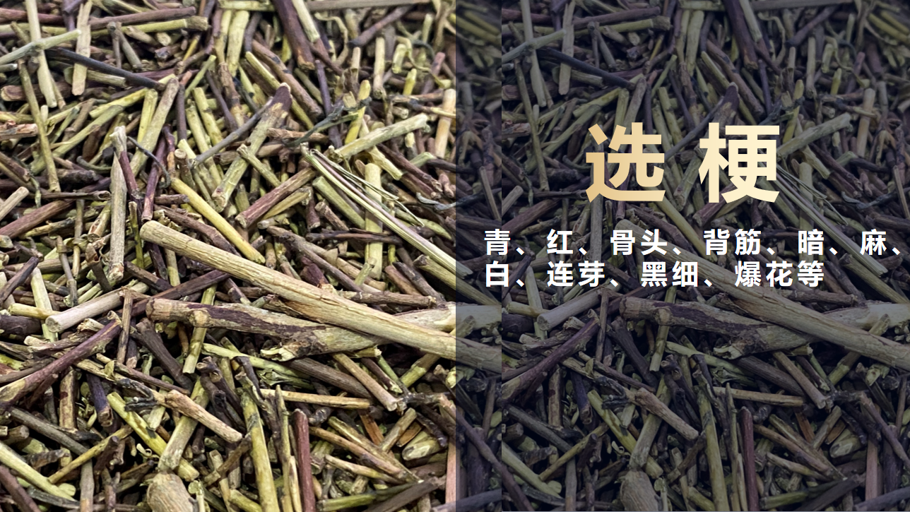 Starbo星宝(中国集团)官方网站