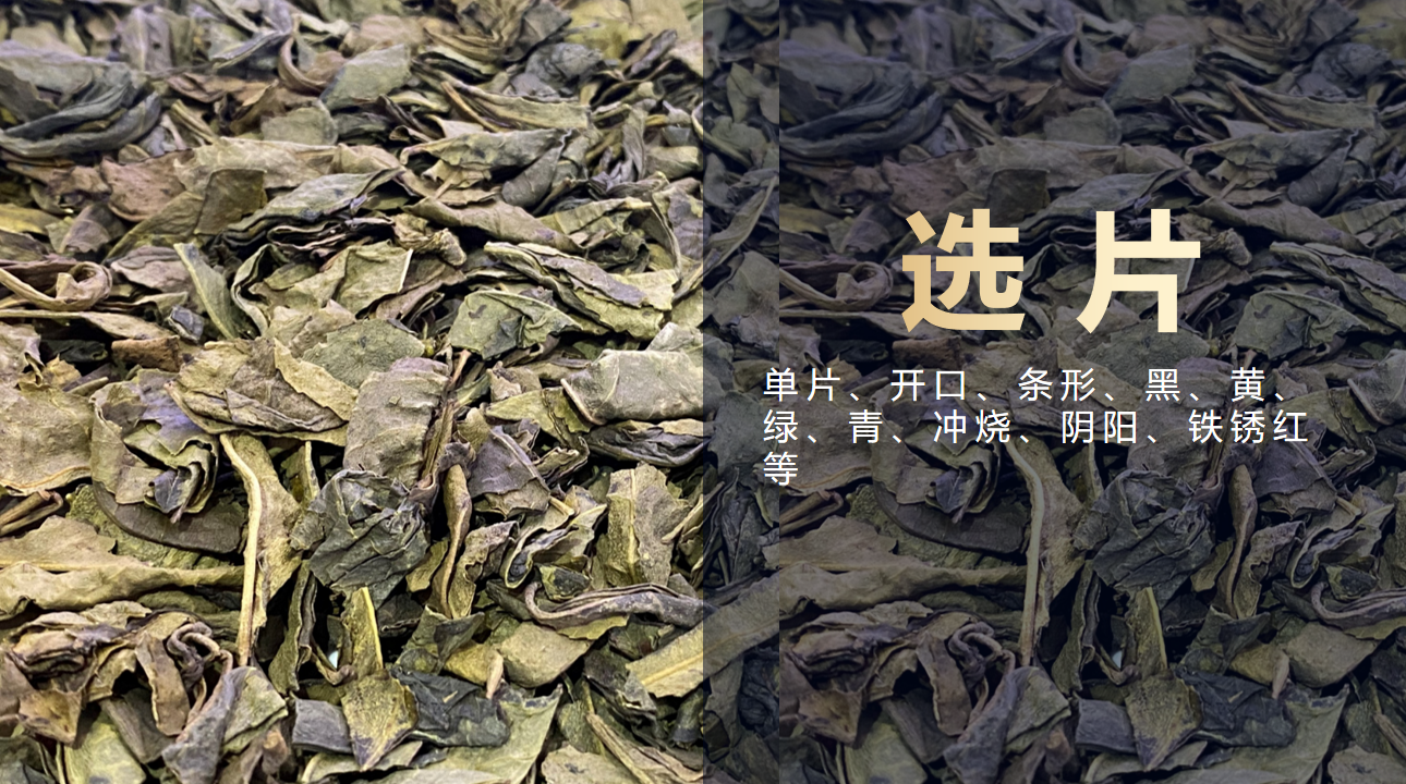 Starbo星宝(中国集团)官方网站