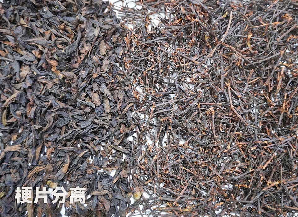 Starbo星宝(中国集团)官方网站