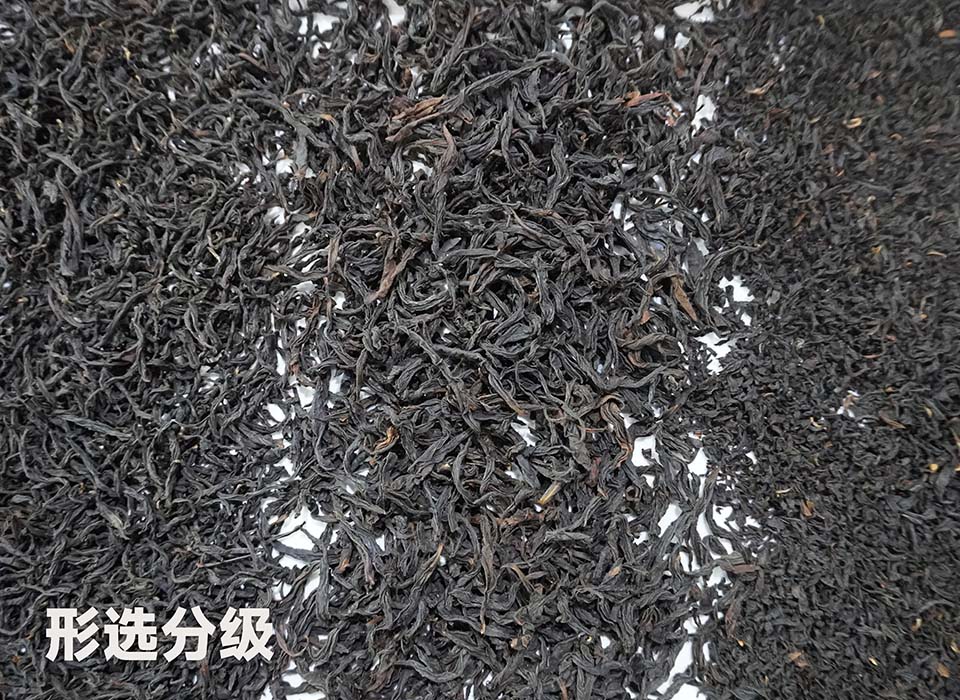 Starbo星宝(中国集团)官方网站