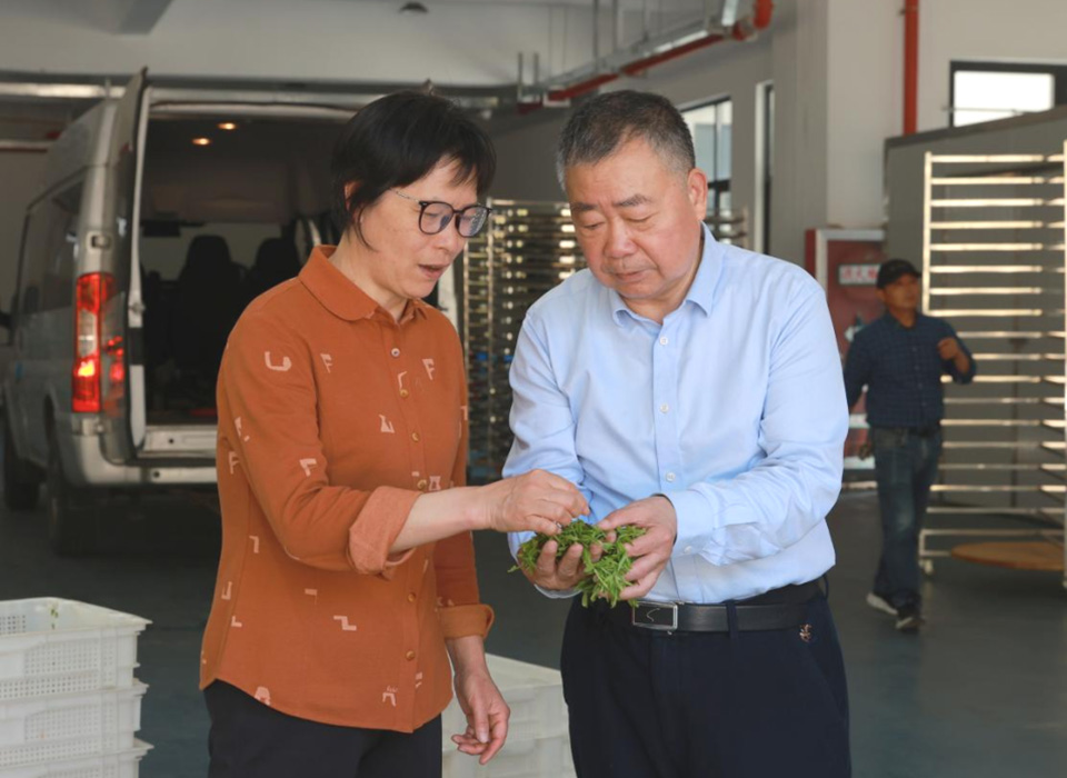 Starbo星宝(中国集团)官方网站