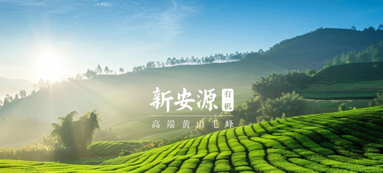 Starbo星宝(中国集团)官方网站
