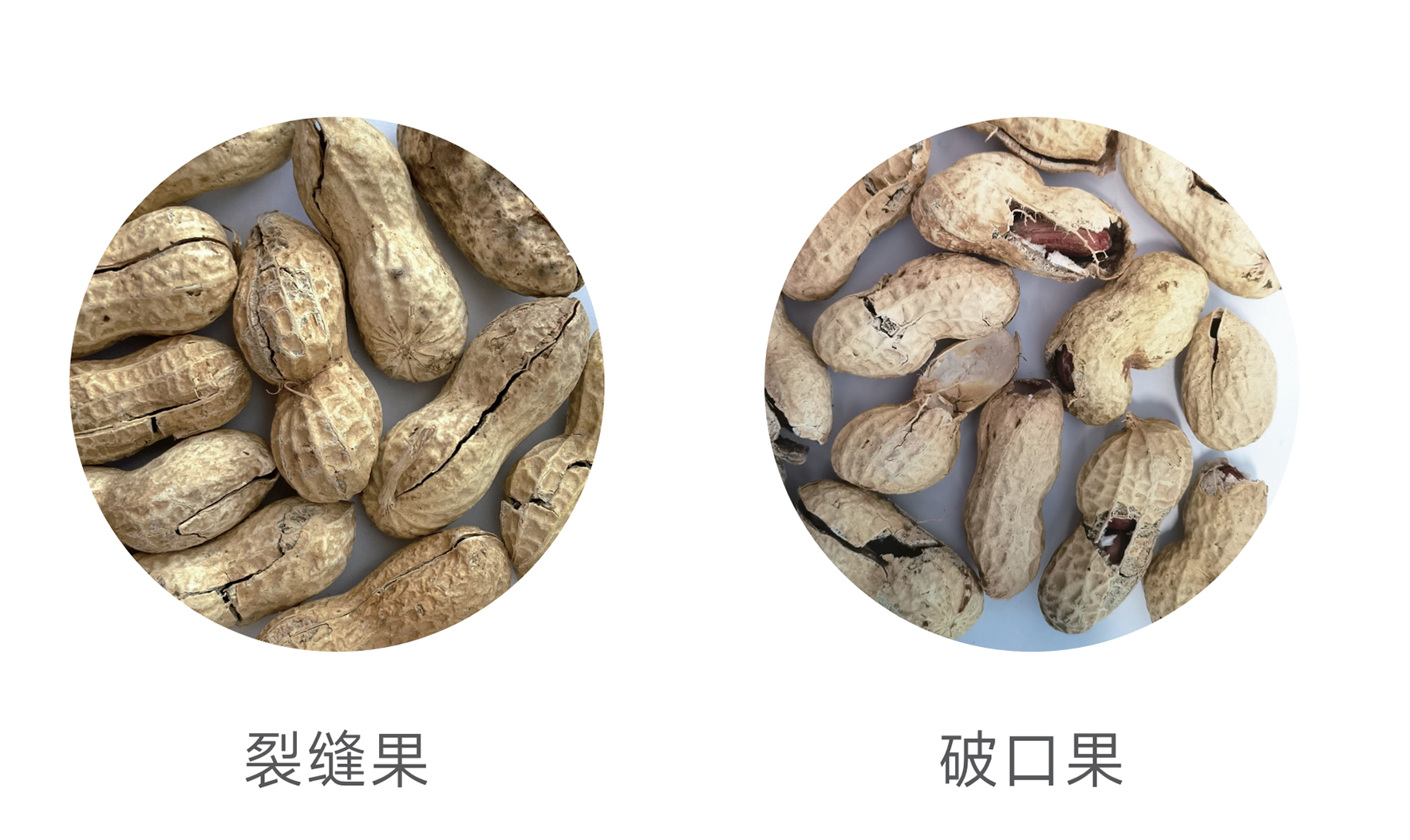 Starbo星宝(中国集团)官方网站